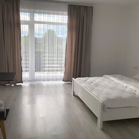 ホテル Alpin ソロトヴィノ