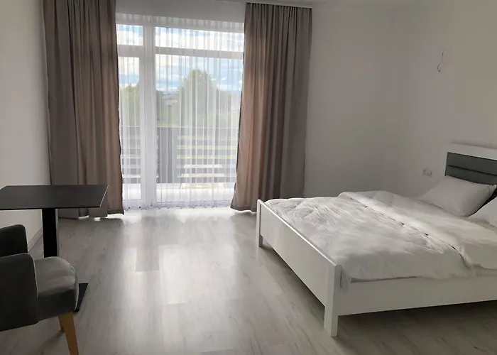 Otel Alpin Solotvyno