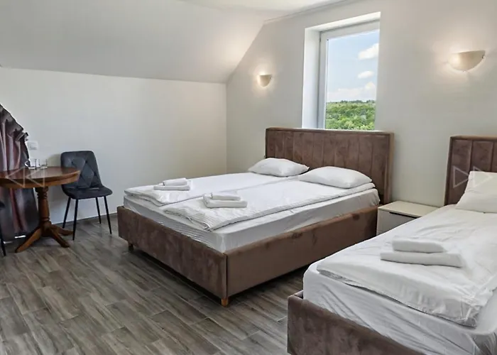 Otel Alpin Solotvyno