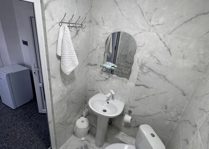 Alpin Otel Solotvyno