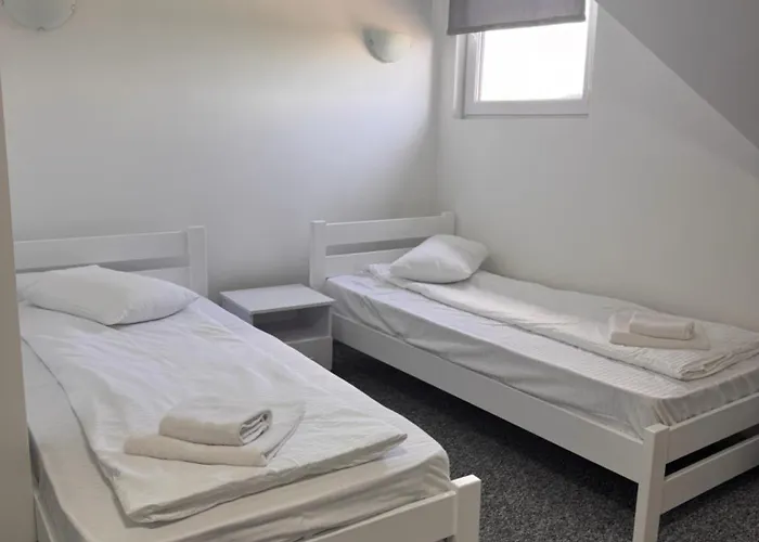 Alpin Otel Solotvyno