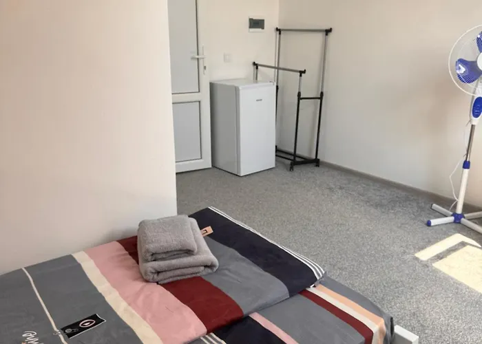Alpin Otel Solotvyno