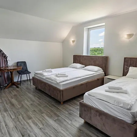 Otel Alpin Solotvyno