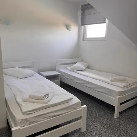 Alpin Otel Solotvyno