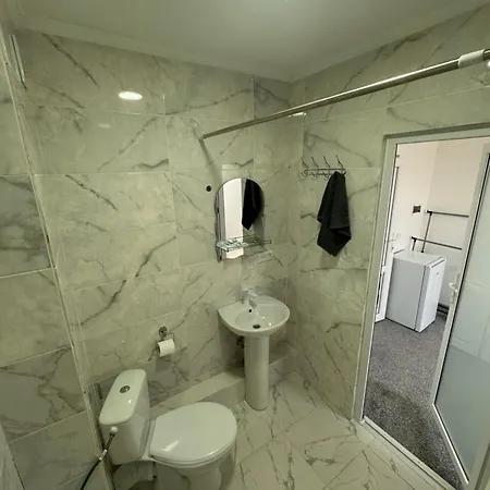 Otel Alpin Solotvyno